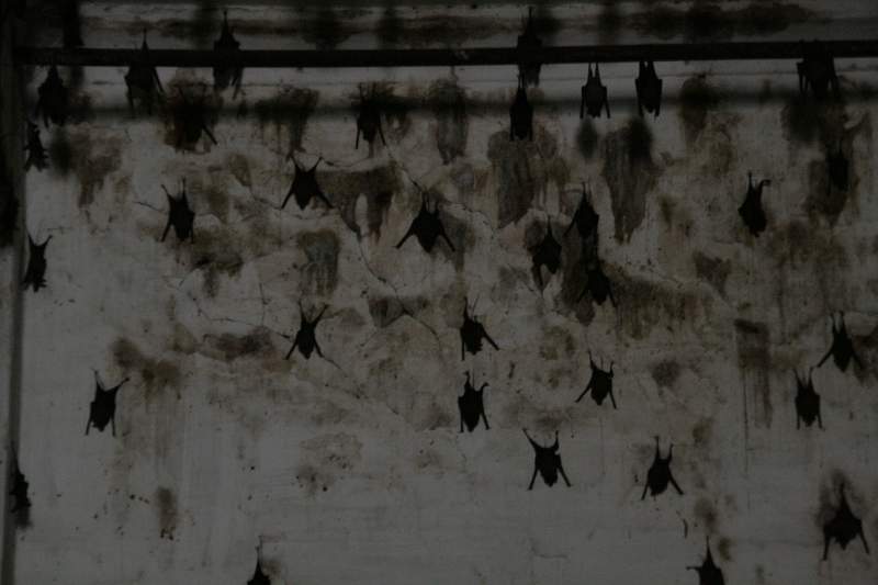 India & Nepal 2011 - 0835